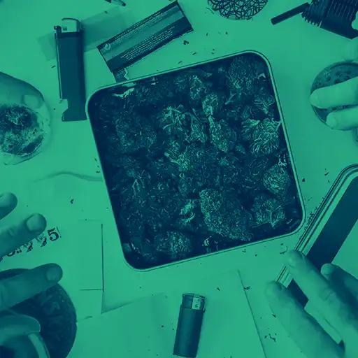 Cannabis Categories Shop All