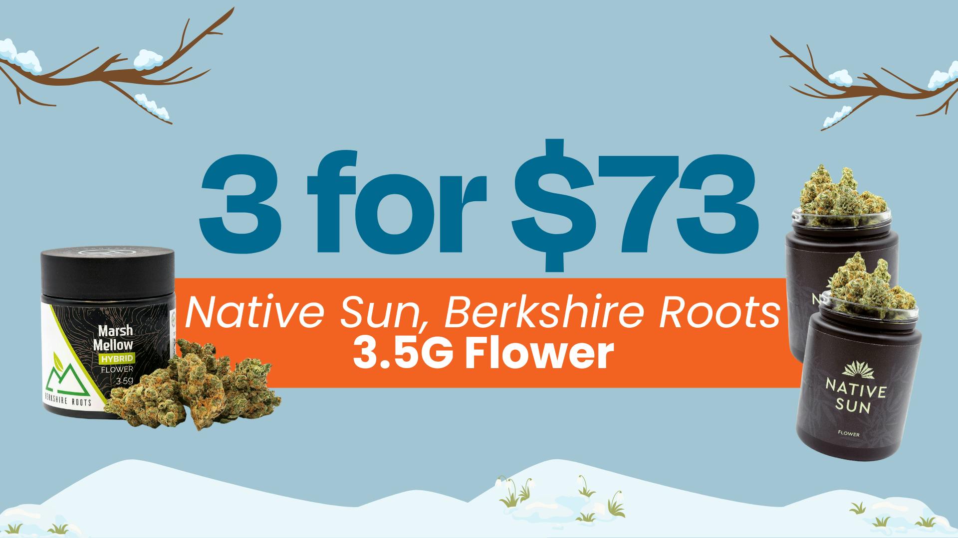 3 for $73 - 3.5G Native Sun, Berkshire Roots Flower